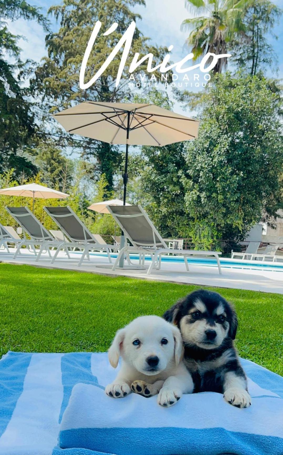 Hotel Boutique Unico Avandaro Valle de Bravo Luaran gambar
